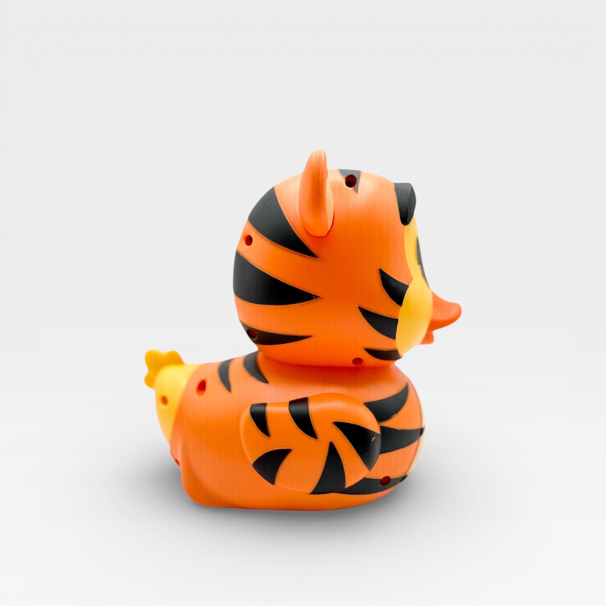 Switch! Adapted Tigger Duck RC Car