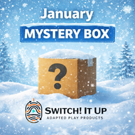 January Mystery Box
