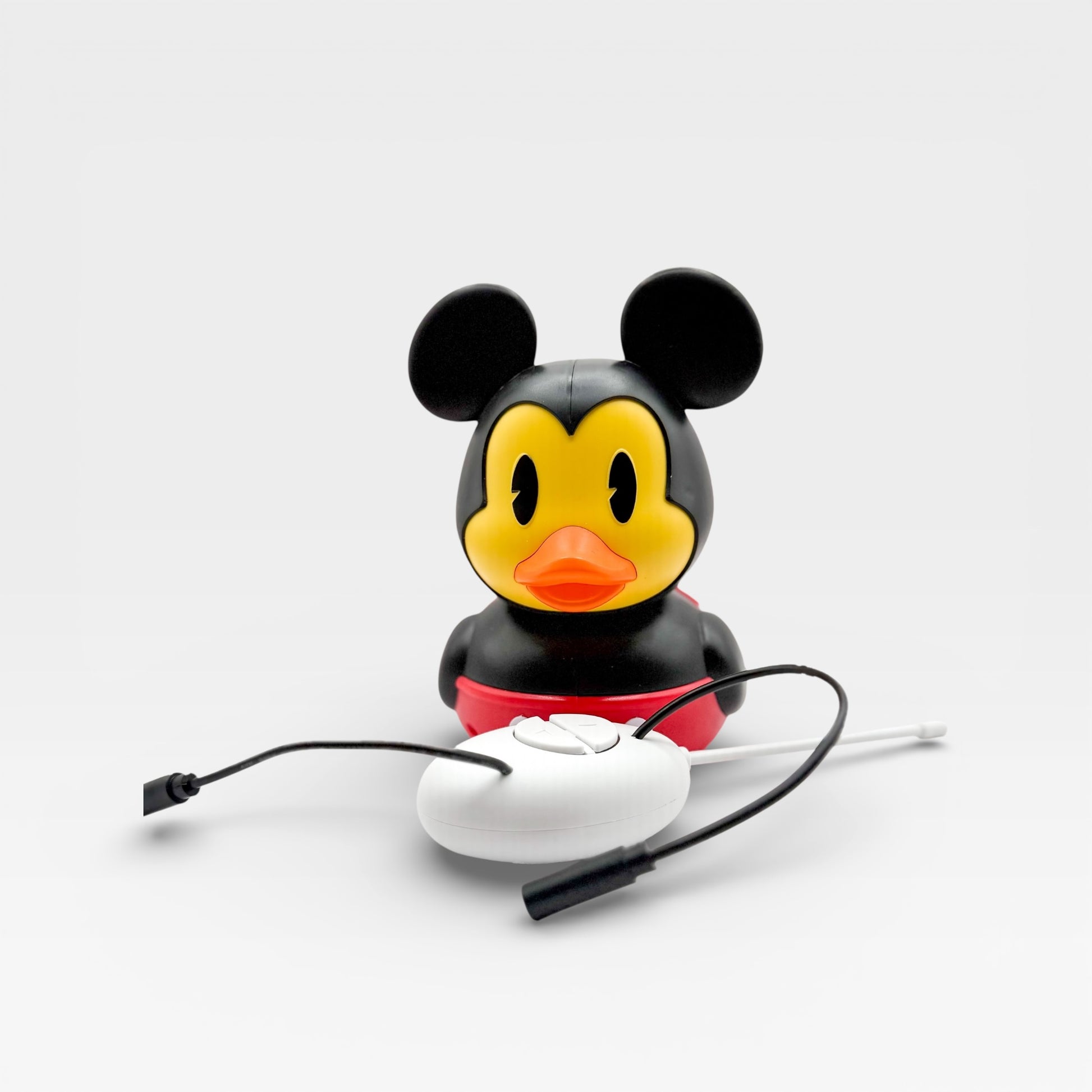 Switch! Adapted Mickey Duck RC Car
