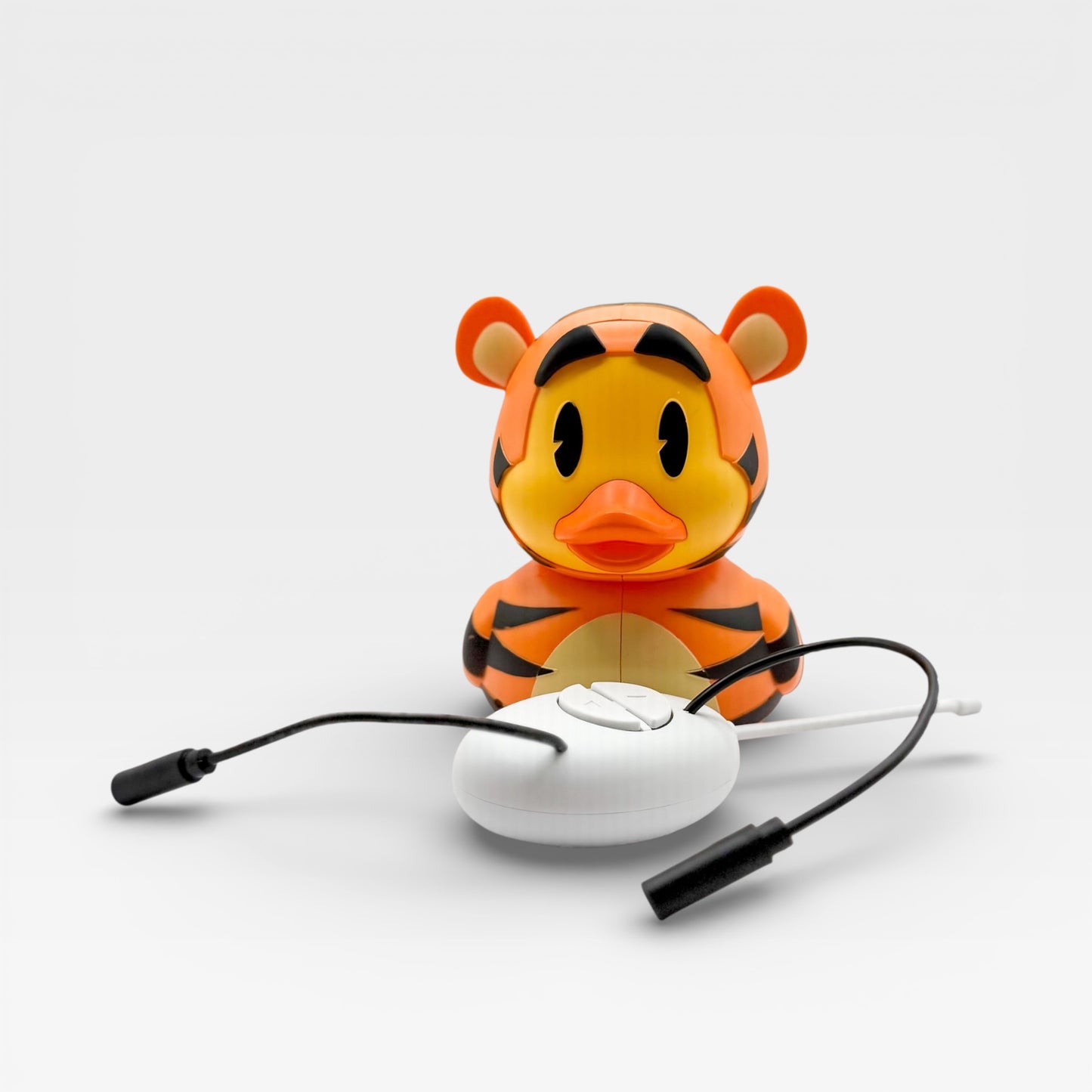 Switch! Adapted Tigger Duck RC Car