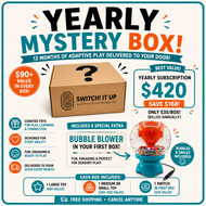 Yearly Mystery Box Subscription