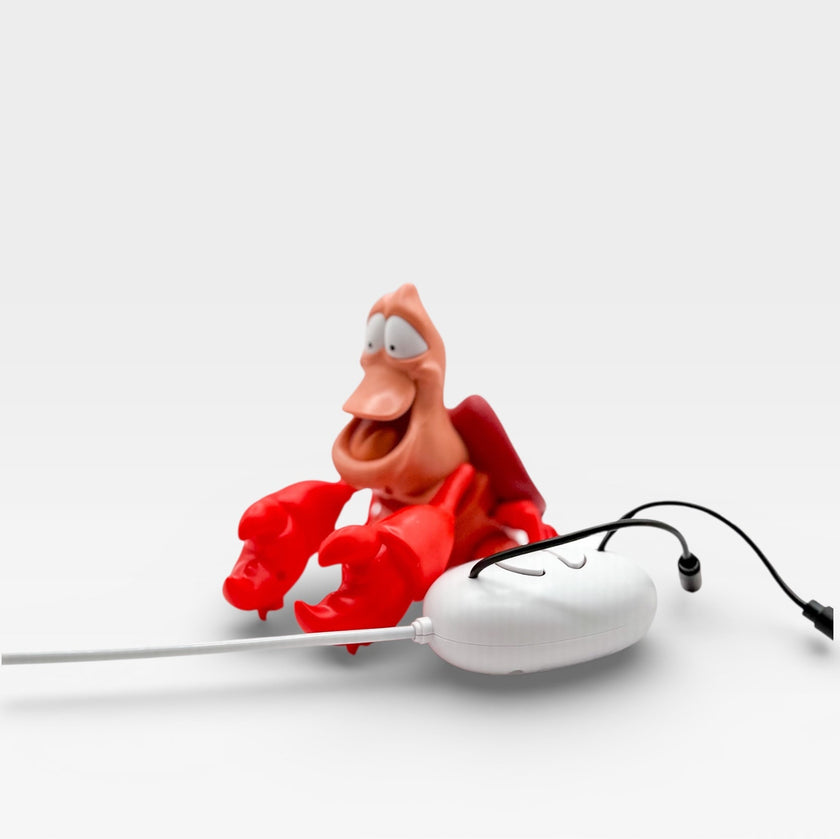 Switch! Adapted Sebastian Crawling RC Car